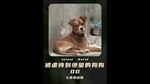 昨日奇迹（国语版）